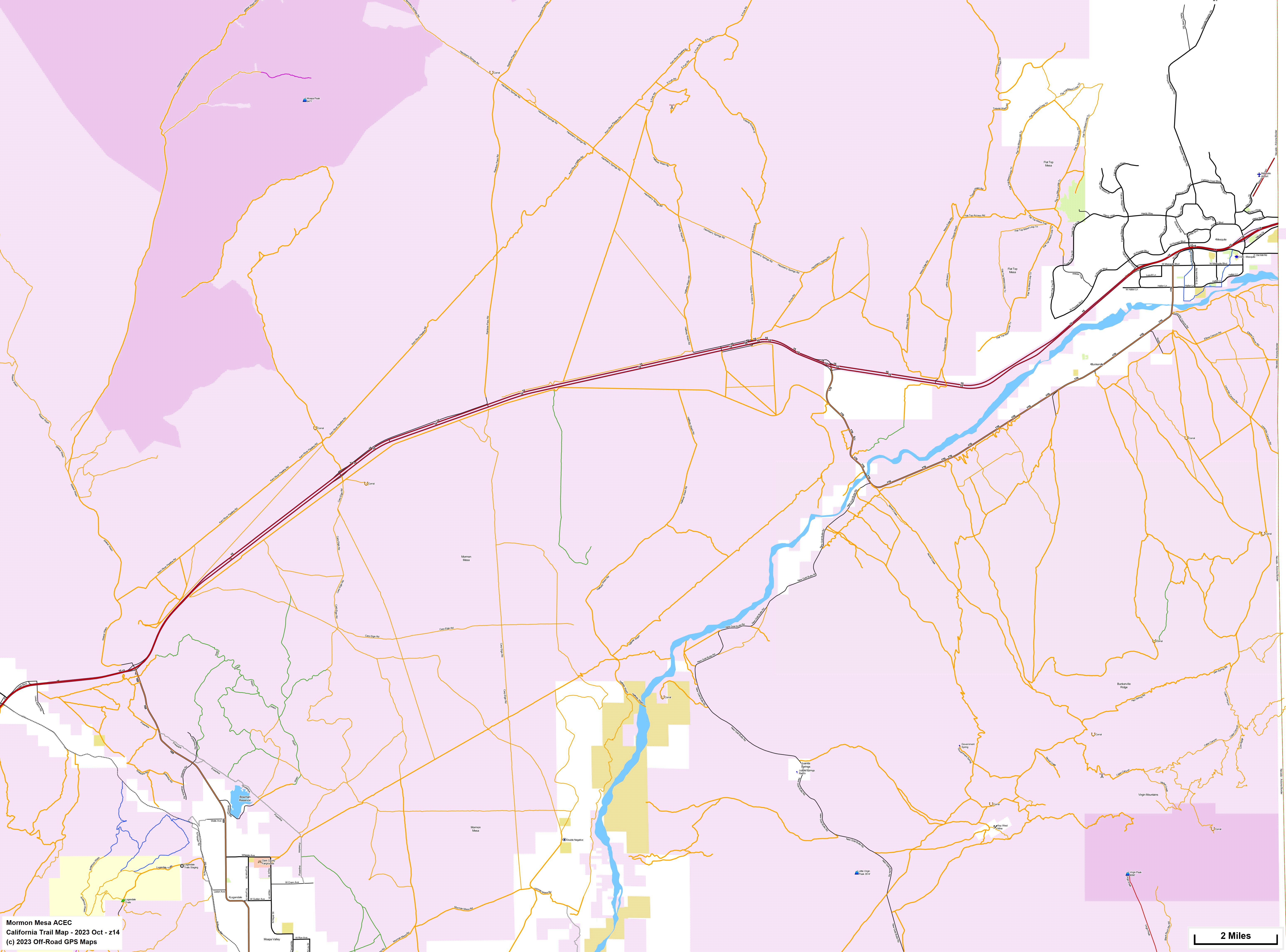 Mormon Mesa ACEC z 14